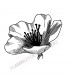 Tampon Collection Fleurs - Fleur A