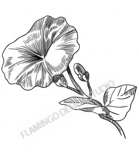 Tampon Collection Fleurs - Fleur D Liseron