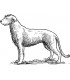 Rubber stamp - dog