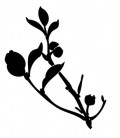 Rubber stamp - Silhouette Branch & leaves 1