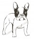 Rubber stamp - Bulldog