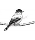 Rubber stamp - Bird Sketch 2