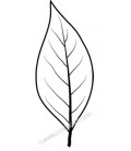 Rubber stamp - long leaf