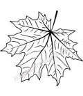 Rubber stamp - maple leaf