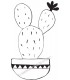 Tampon Cactus